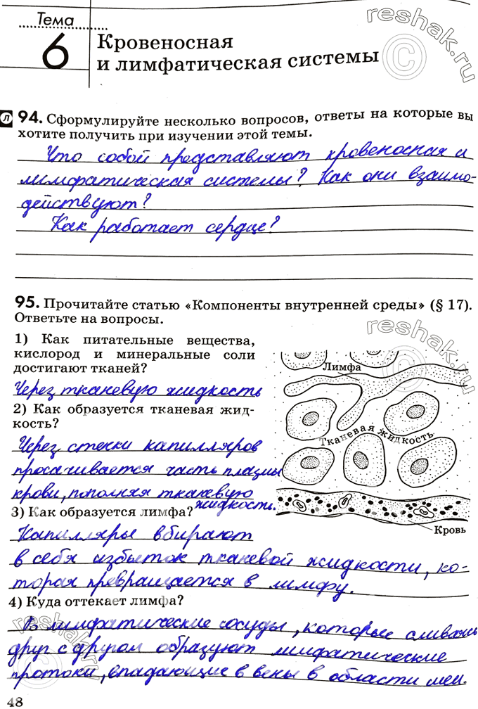 Изображение Тема 6. Кровеносная и лимфатическая системы94. Сформулируйте несколько вопросов, ответы на которые вы хотите получить при изучении этой темы.95. Прочитайте статью...
