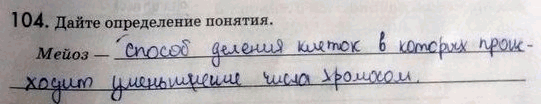 Изображение Упр.104 ГДЗ Рабочая тетрадь Пасечник 9 класс